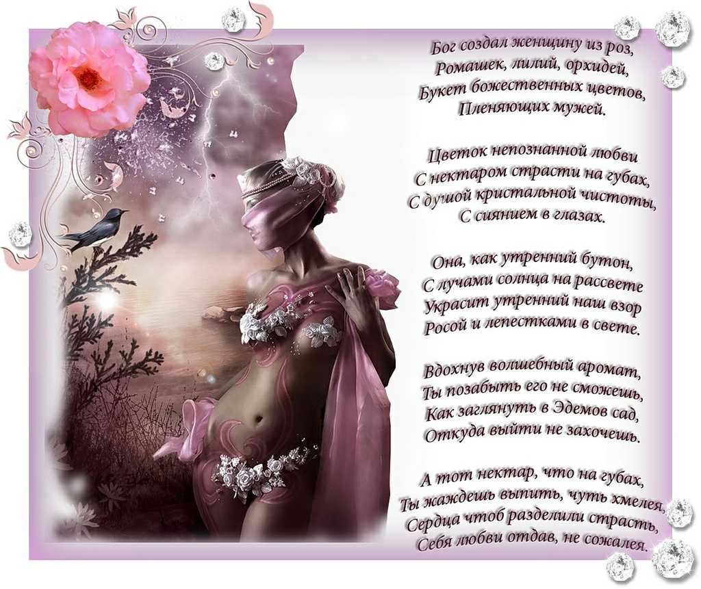 Наталия задорожная / страница автора /