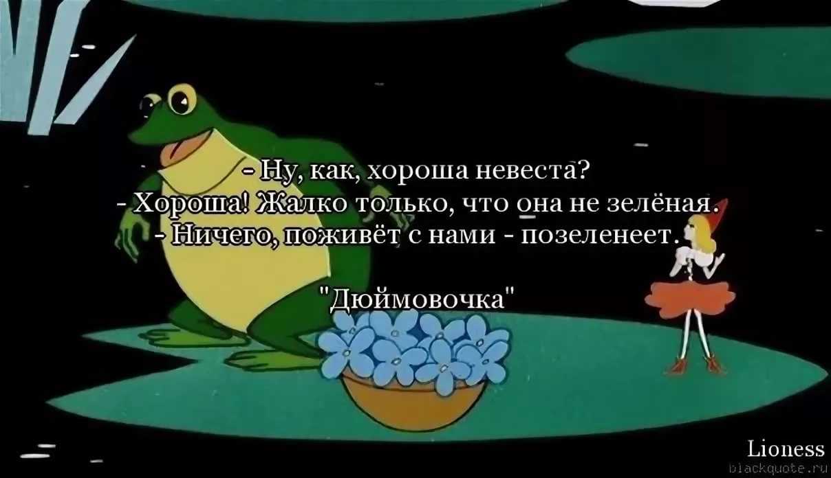 Статусы про жизнь со смыслом