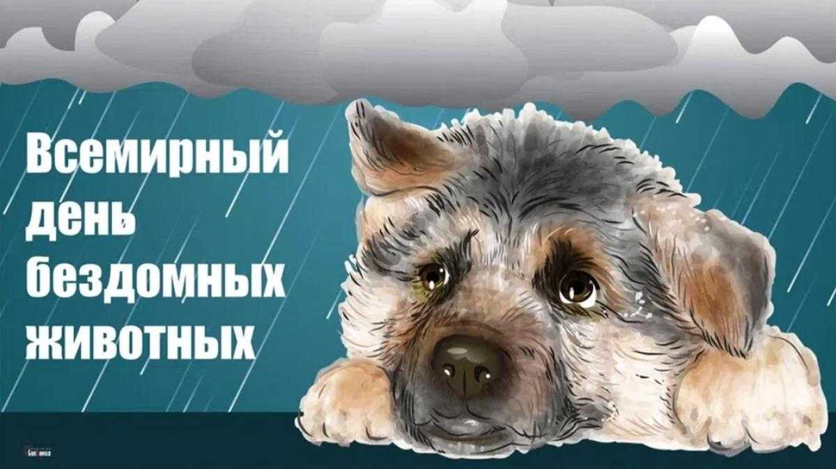 Стих о бездомной собаке
