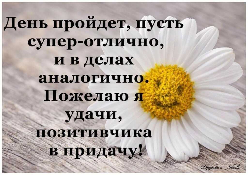 Для счастья многого не надо статусы — жизненные статусы