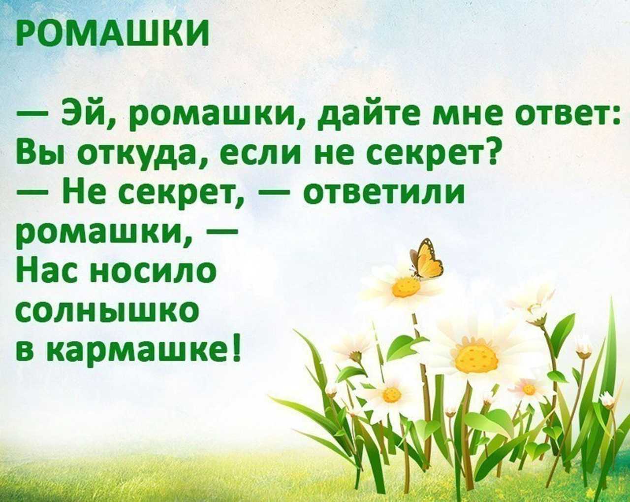 Стихи про цветы для детей современных поэтов и русских классиков