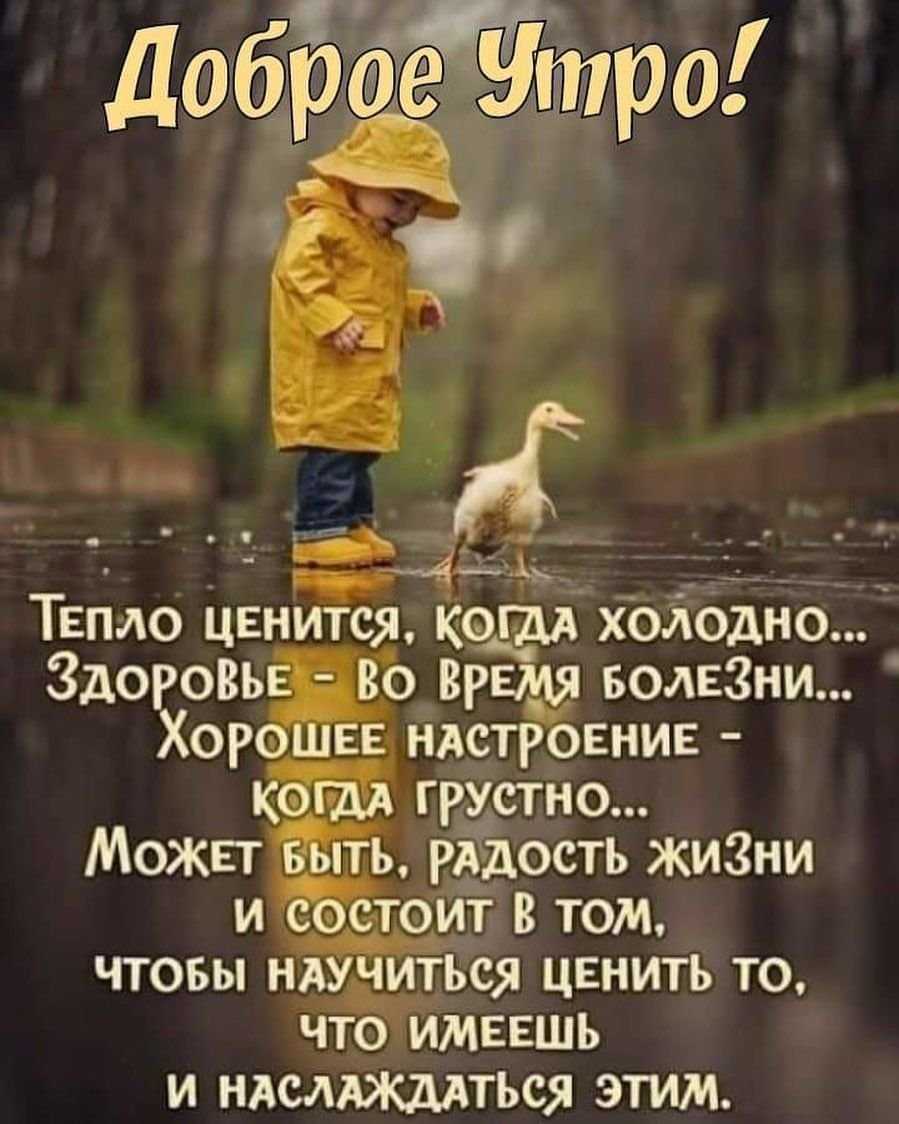 Позитивные статусы про хороший день