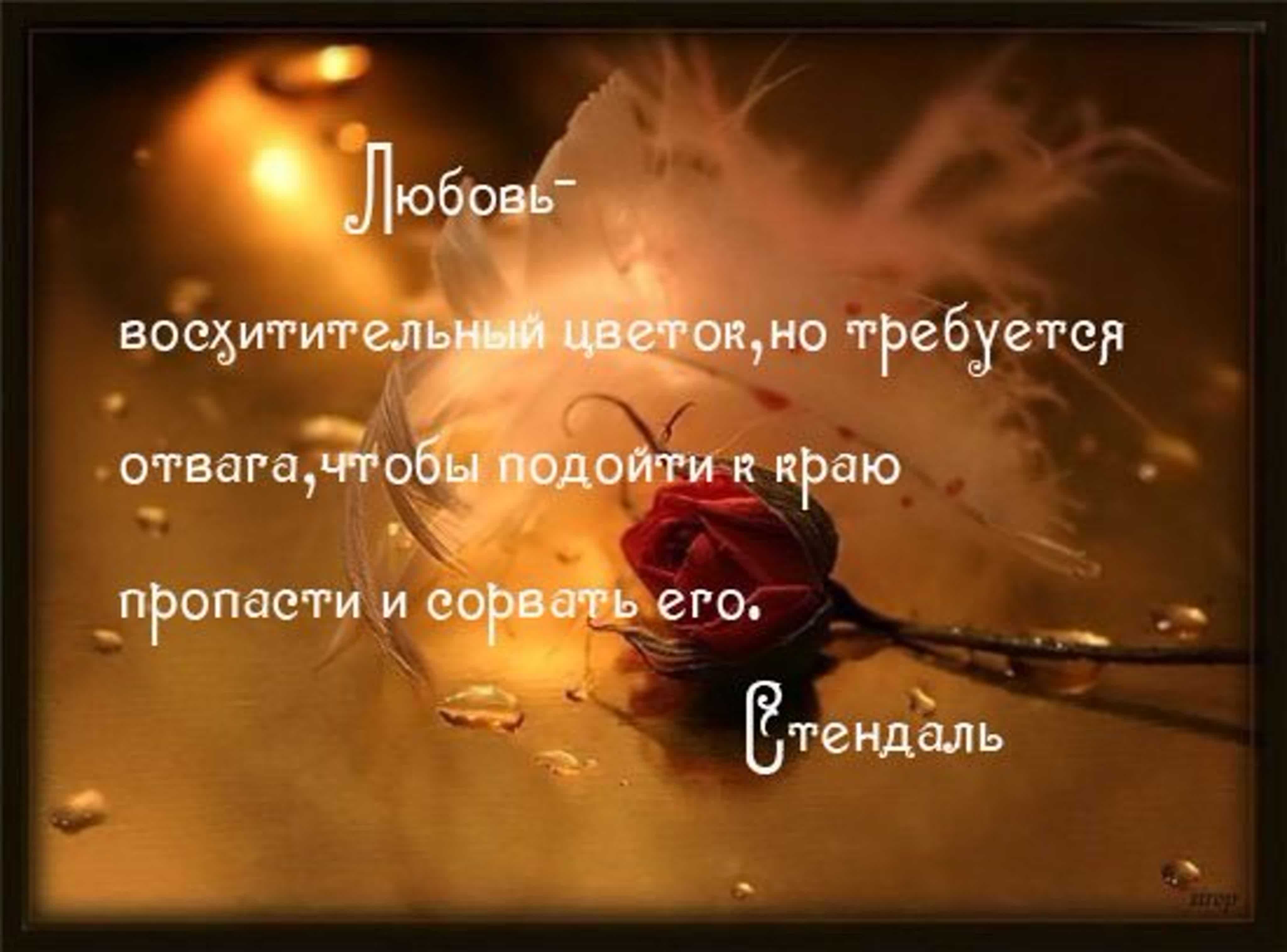 Статусы про любовь со смыслом до слез