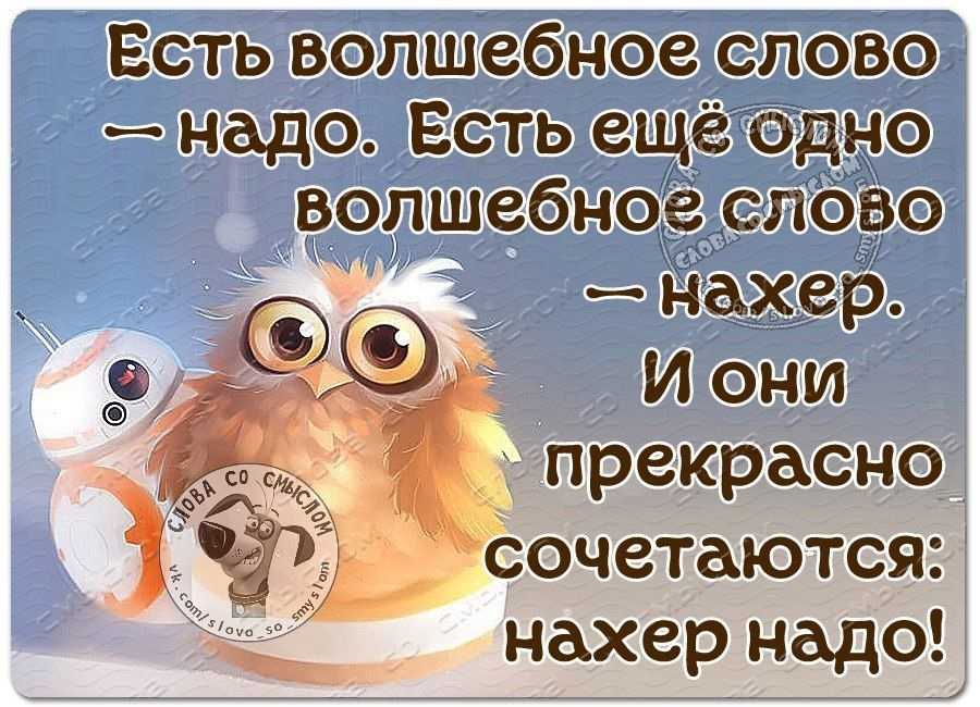 Цитаты о жизни со смыслом и мудрые притчи