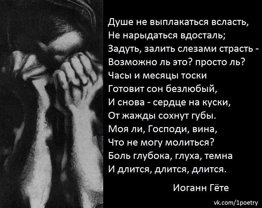 Душевные стихи: добрые стихотворения, трогательные до слёз
