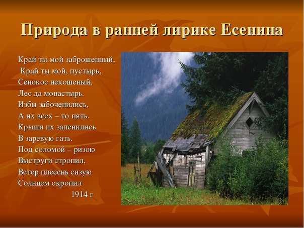 Поэзия души: подборка цитат из стихотворений сергея есенина