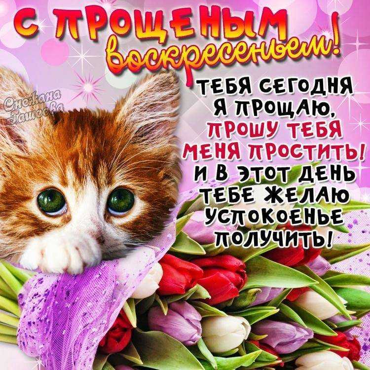 Мои любимые стихи)))эдуард асадов - страна мам