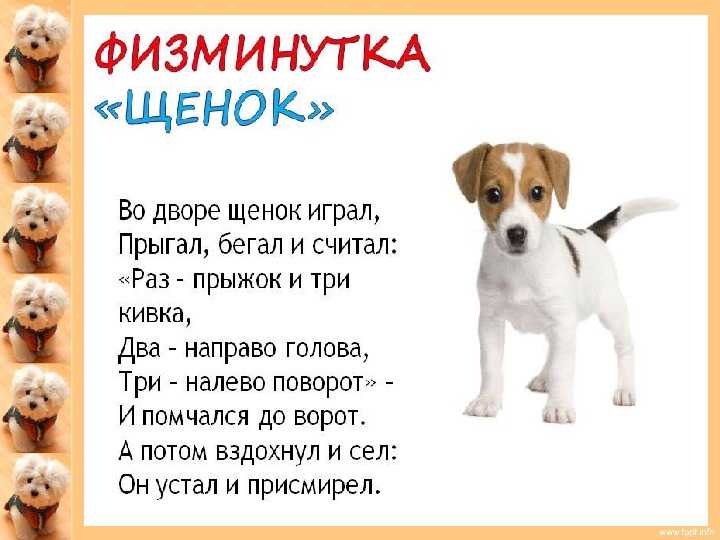 Стихи про собак: красивые, лучшие стихотворения русских поэтов классиков о собаках - рустих