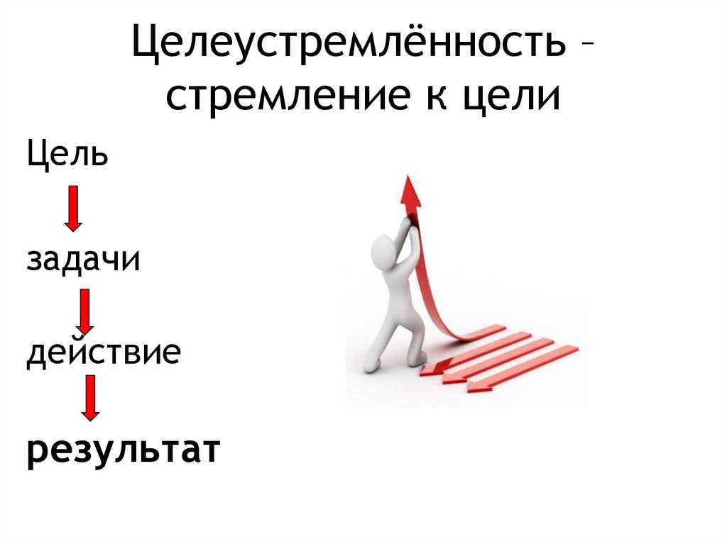 Цитаты про целеустремленность