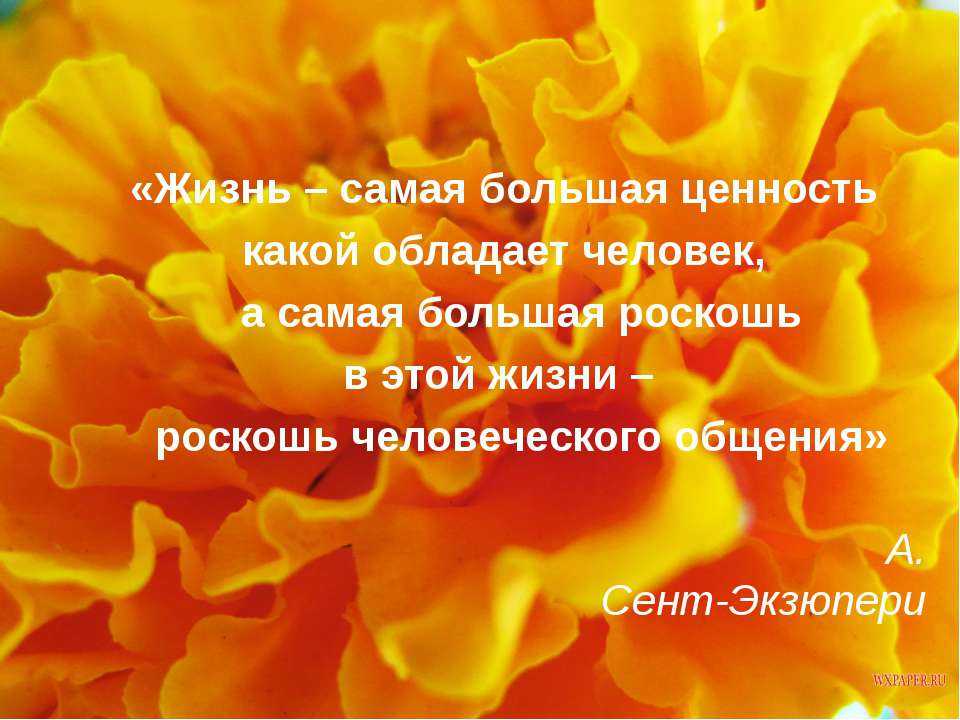 Стихи о жизненных ценностях — подборка стихотворений