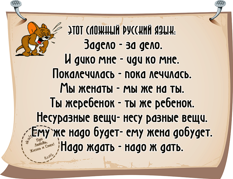 Афоризмы, цитаты и известных людей, писателей на любые темы, но с юмором