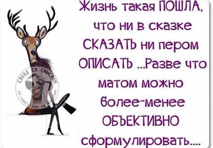Статусы со смыслом – красивые, мудрые, короткие, прикольные