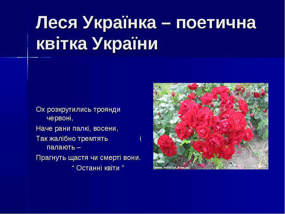 Кругом зима и снова, снова минус тридцать...