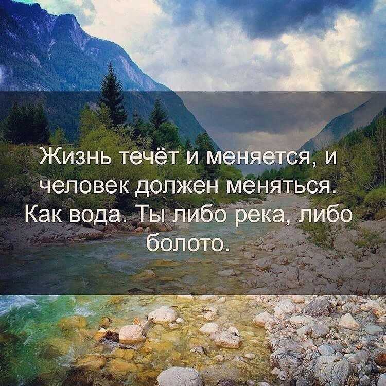 Лучшие цитаты про жизнь со смыслом: 100+ лучших цитат