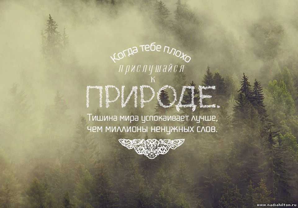 Самые лучшие цитаты и афоризмы про осень