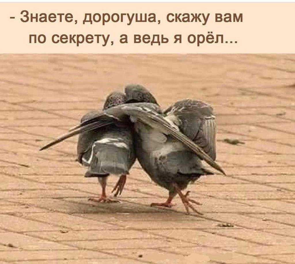 Статусы для социальных сетей, короткие высказывания, мудрые цитаты великих людей, а также фразы и мысли от пользователей сайта про секреты