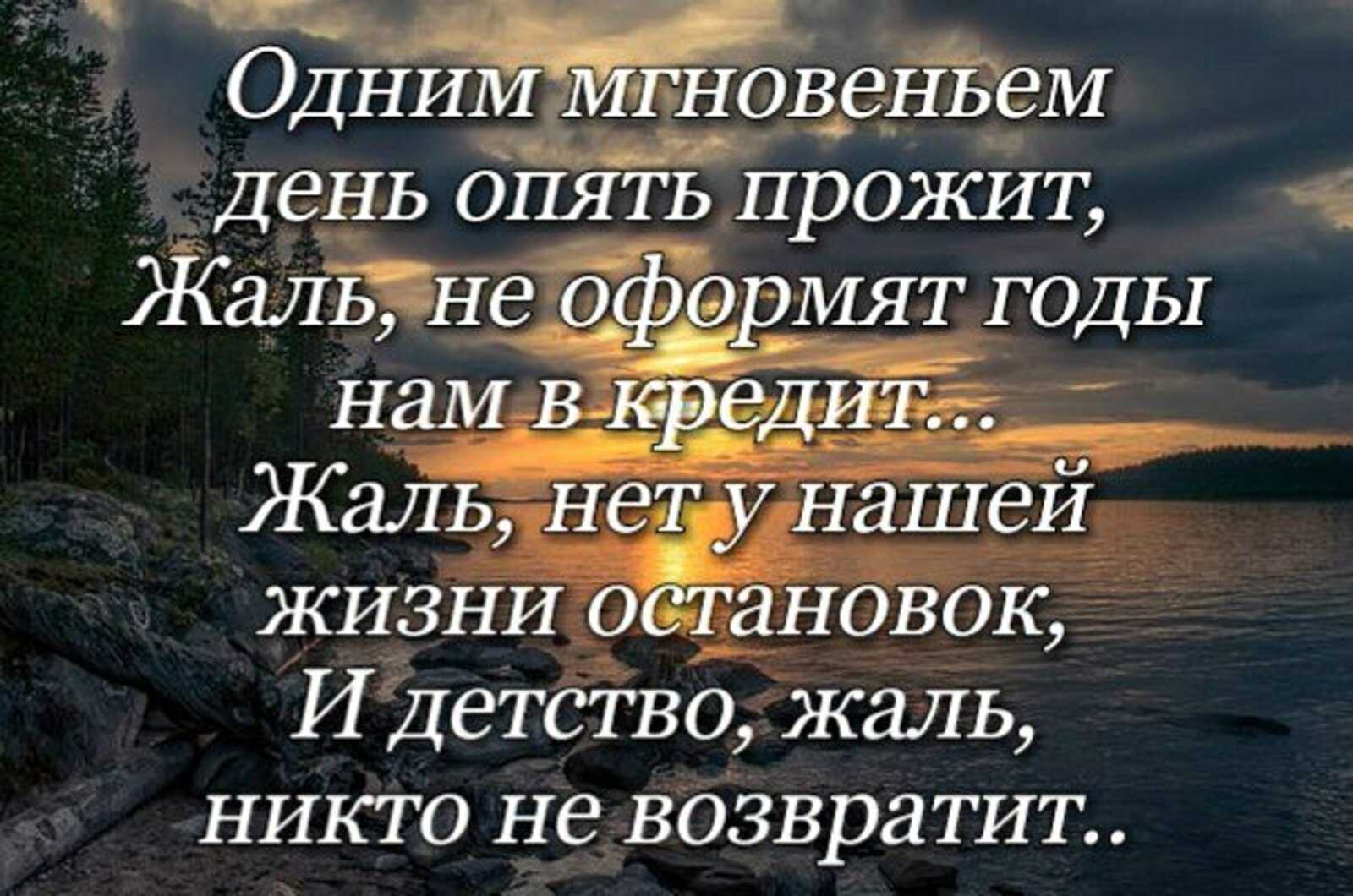 Tilki toy: веселые статусы про детство, детей и взрослую жизнь!