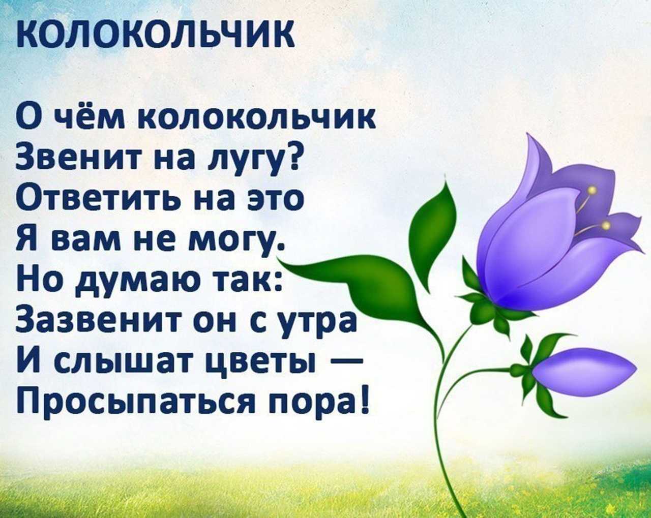 Стихи о цветах для детей 4-5 лет короткие