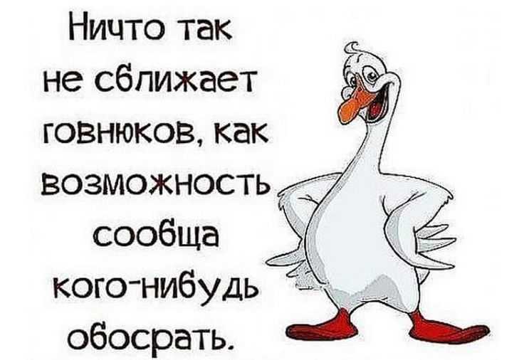 Смешные статусы