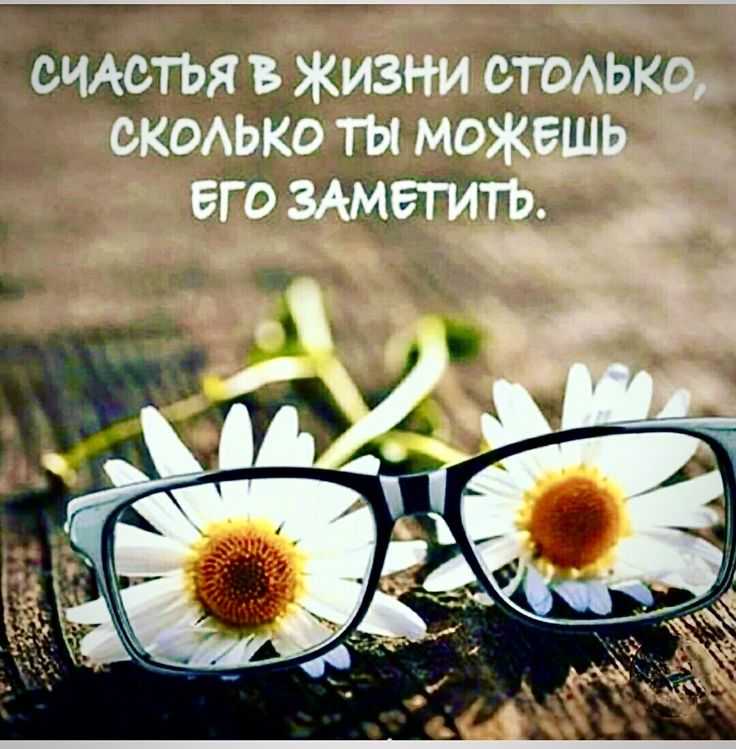 Короткие позитивные статусы — шутки юмора