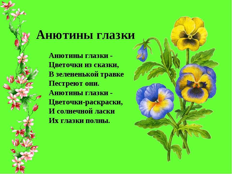 Красивые стихи про цветы для детей