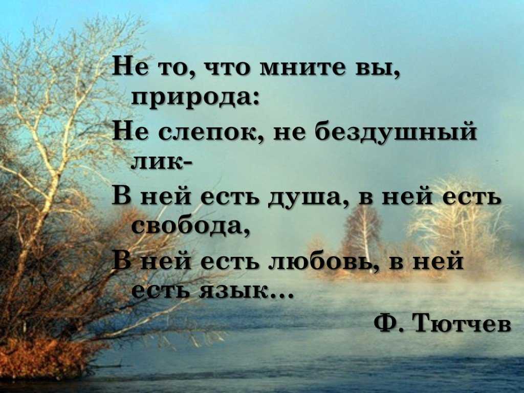 Стихи о природе, 3 класс читать