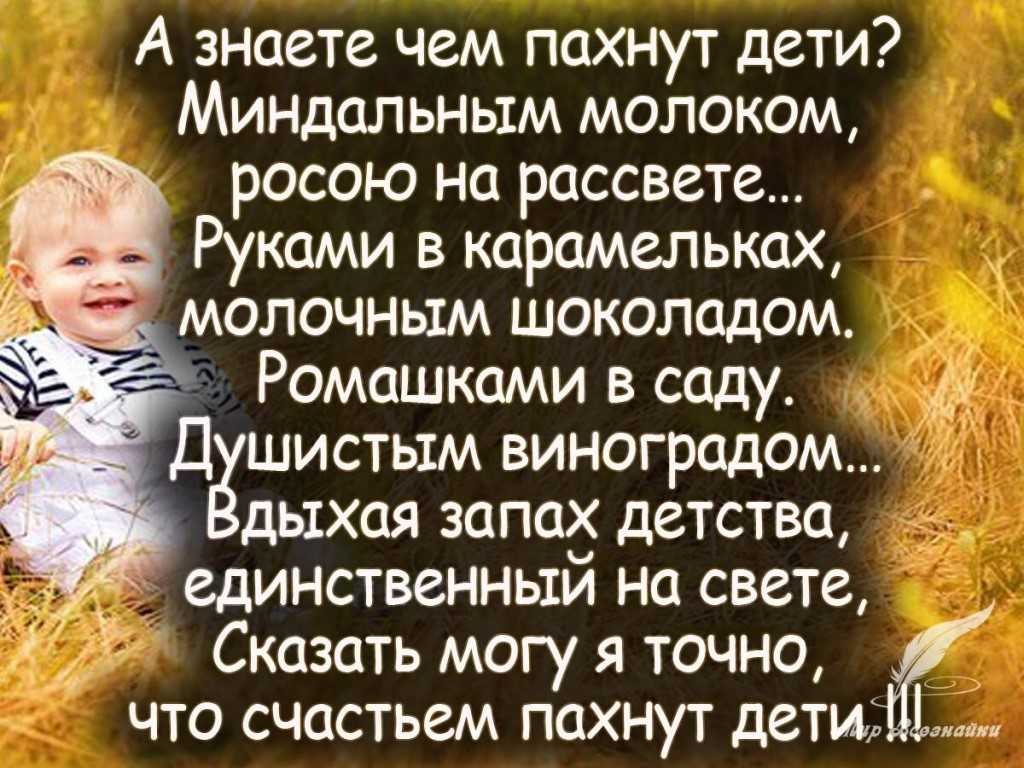 Статусы про жизнь со смыслом, короткие 28.07.2021