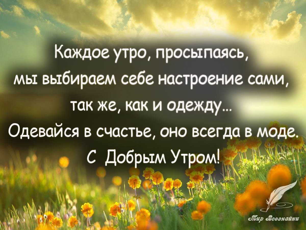 100 лучших добрых цитат и высказываний