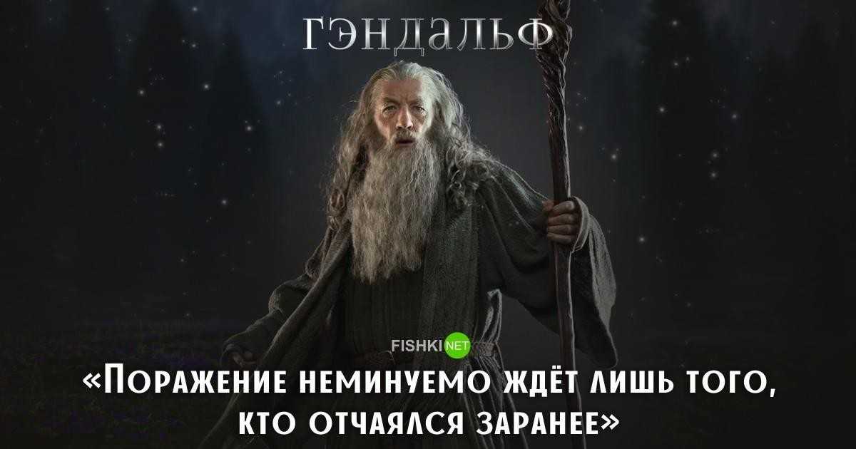 Все стихи георгия шенгели