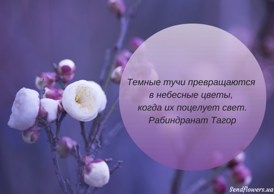 Лучшие цитаты про жизнь со смыслом: 100+ лучших цитат