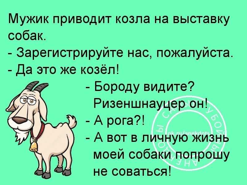 Статусы про жизнь со смыслом