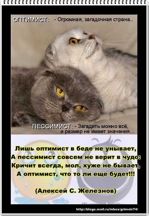Поздравления с днем пессимиста