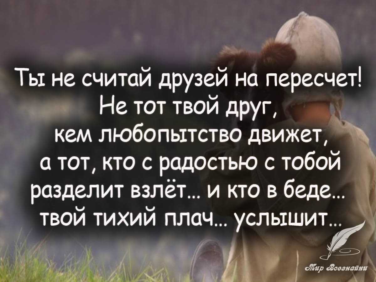 Статусы про друзей - мудрые, cо смысломи прикольные