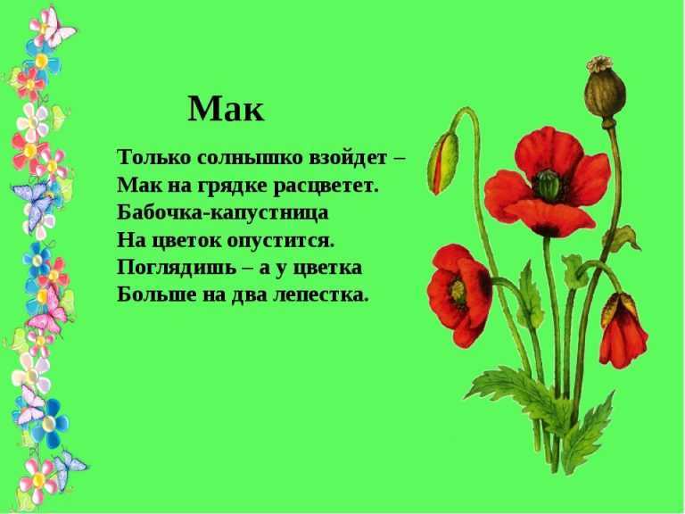 Стихи про цветы для детей 4-5 лет