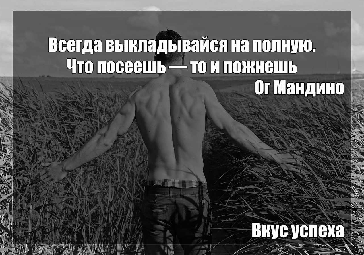 Подобрать пословицы и мудрые высказывания на тему «человек-личность» | пословицы для детей
