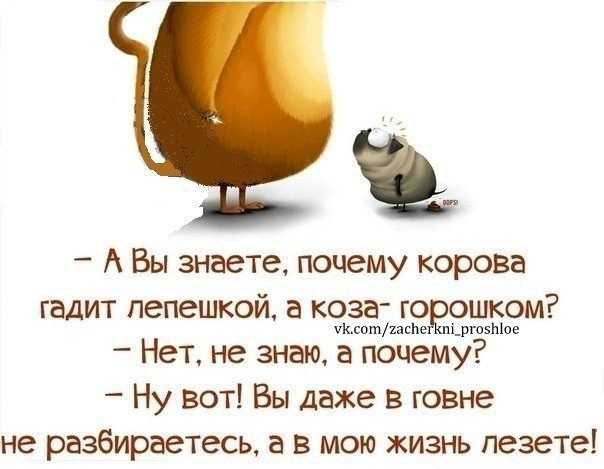 Мудрые и остроумные цитаты для статуса вконтакте