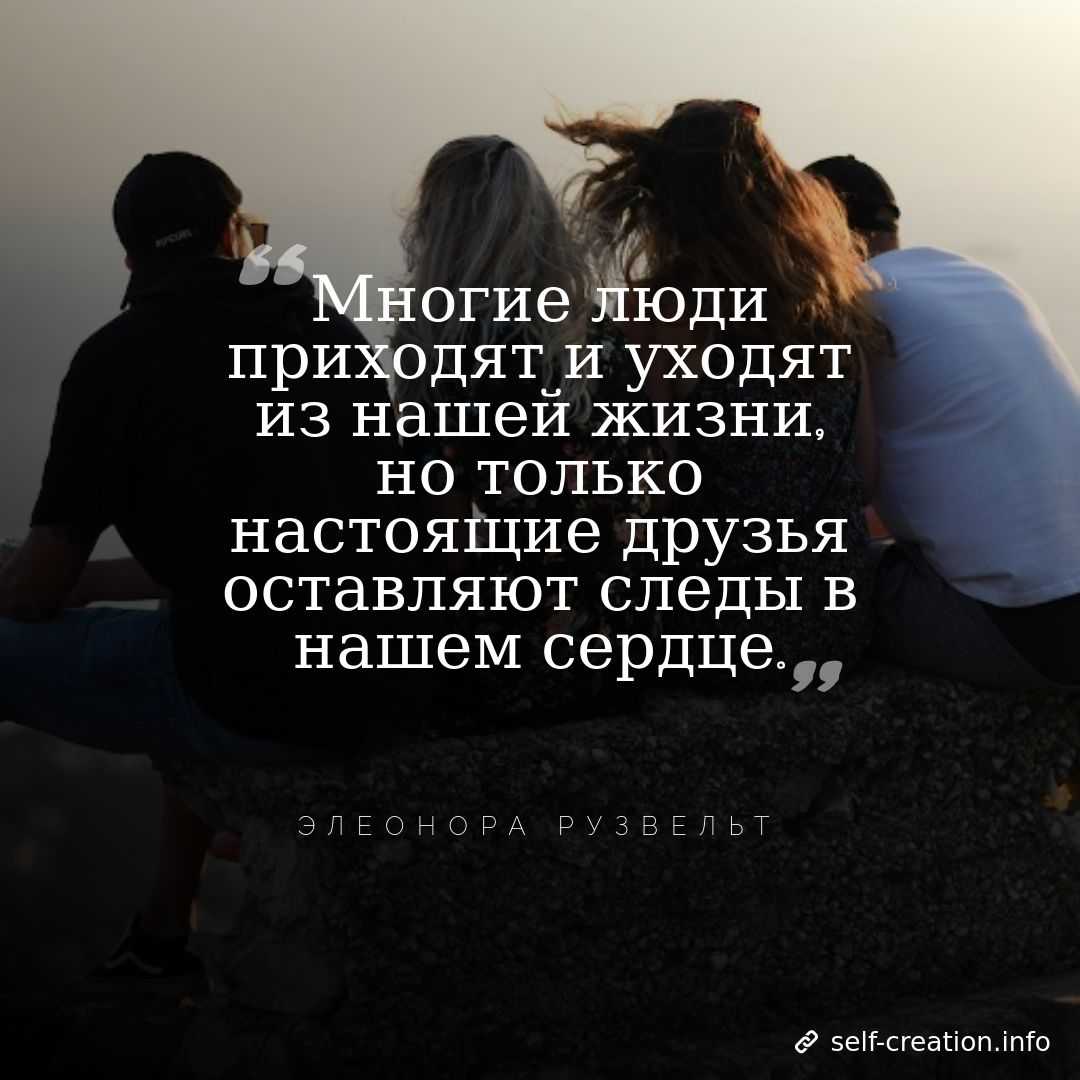Цитаты и афоризмы про дружбу и друзей по смыслом