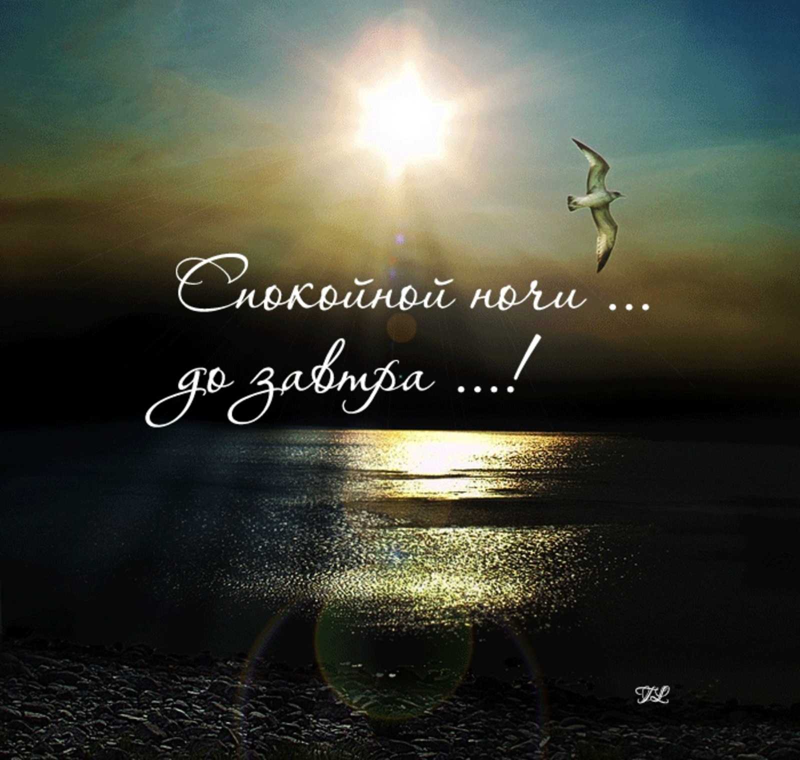 Статусы про ночь