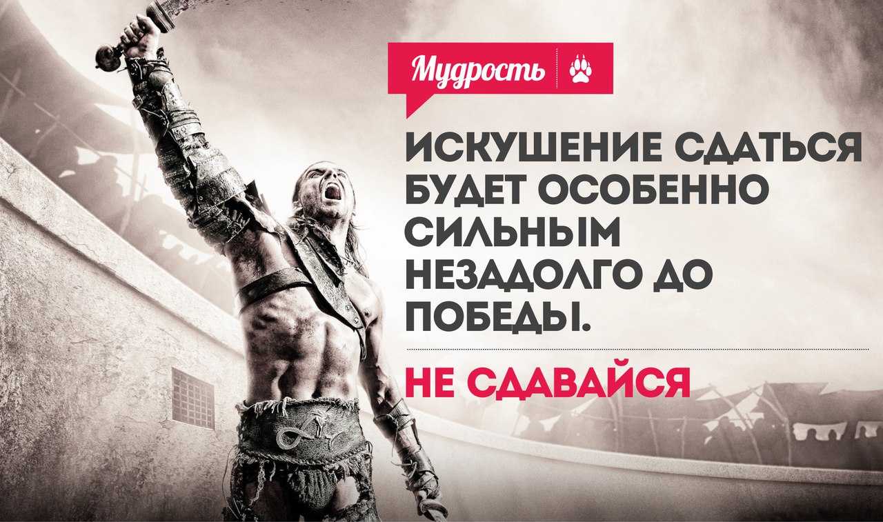 Более 500 цитат для instagram: топ самых лучших