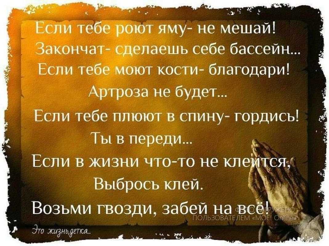Рейтинг афоризмов