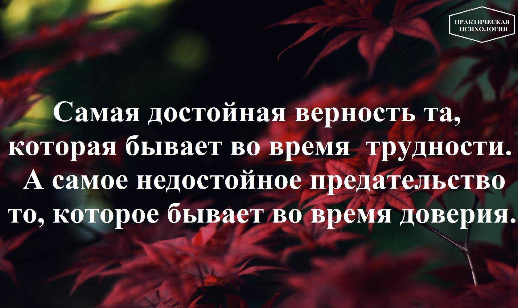 Цитаты про предательство любимого