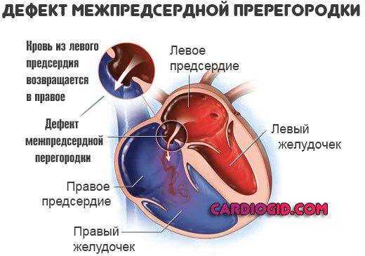 Открытое овальное окно