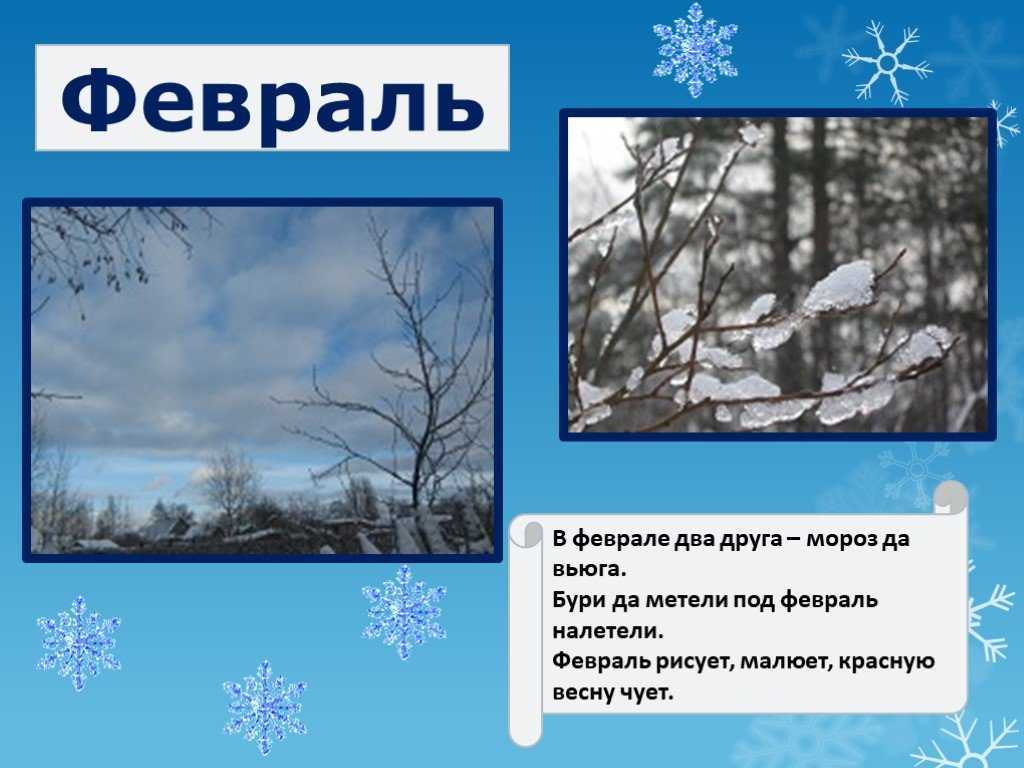 Стихи про февраль. красивые стихи детям