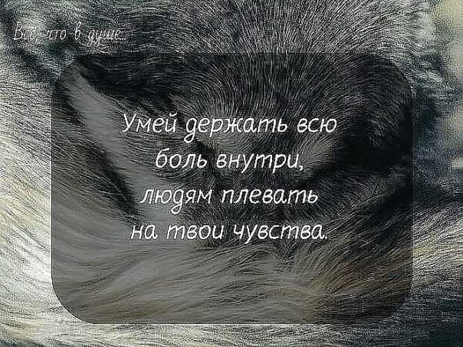 Картинки с мудрыми цитатами великих людей. - rozabox.com