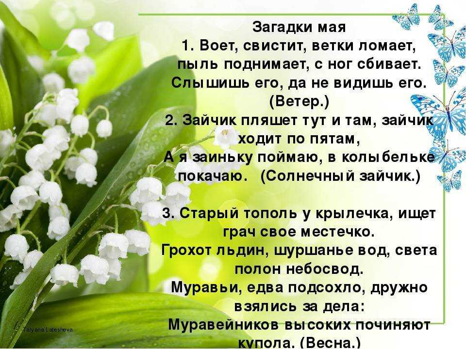 Стихи о мае месяце для дошкольников