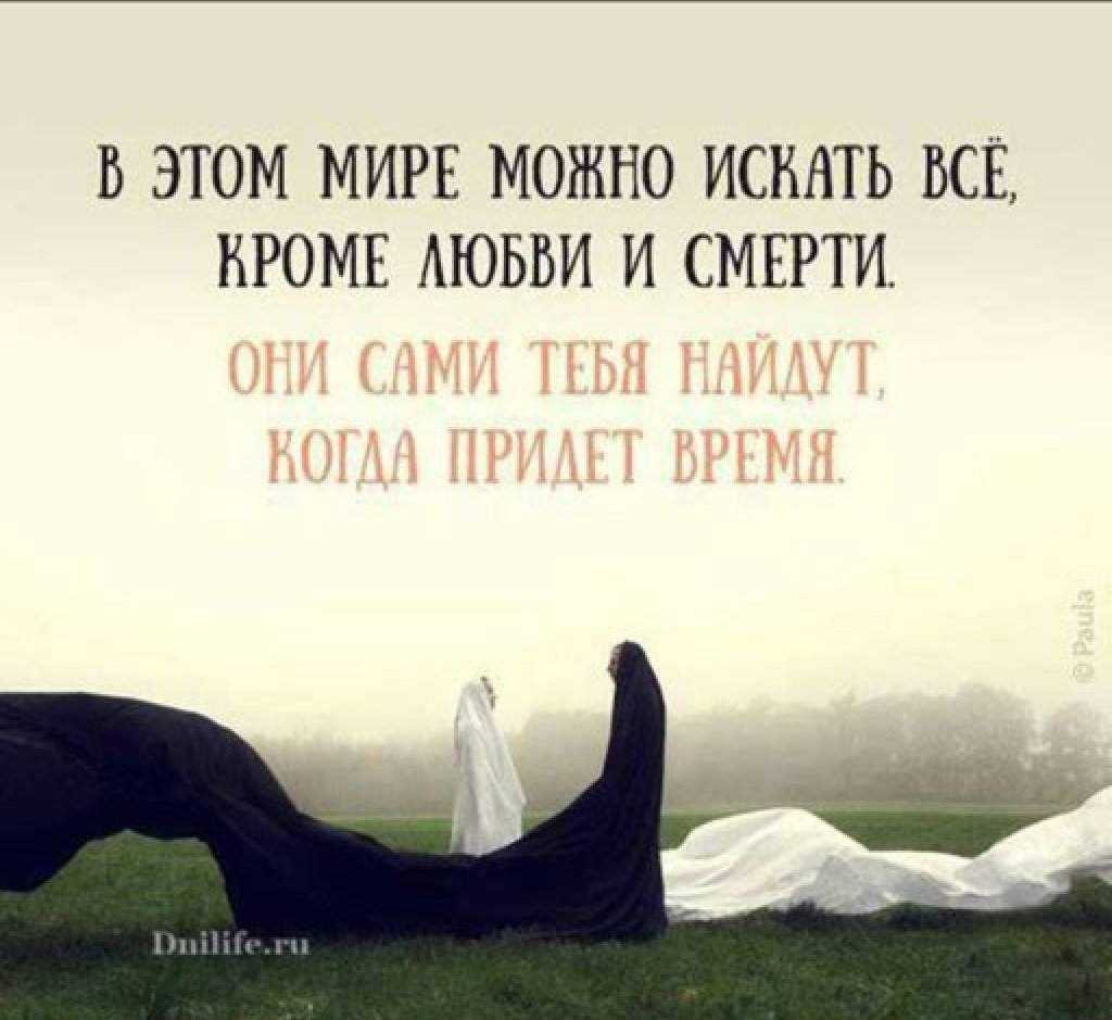 Лучшие цитаты о жизни,про жизнь от великих людей, философов и обычных людей.