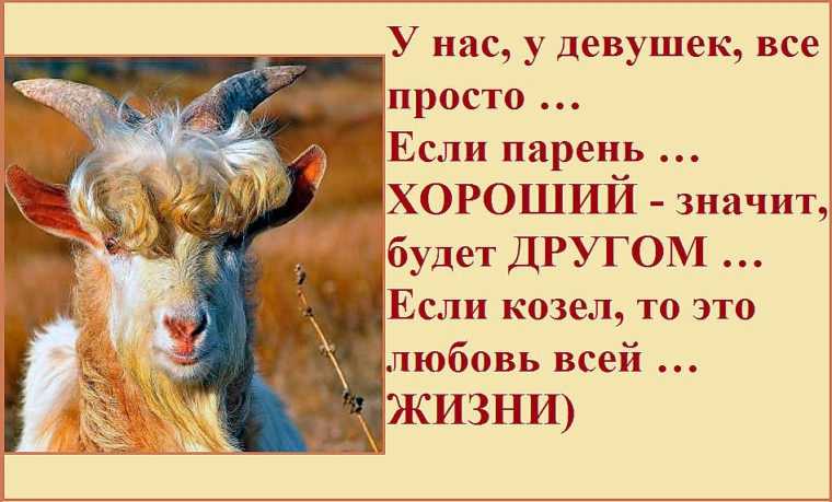Интересные статусы про день и ночь: цитаты, крылатые фразы и мысли