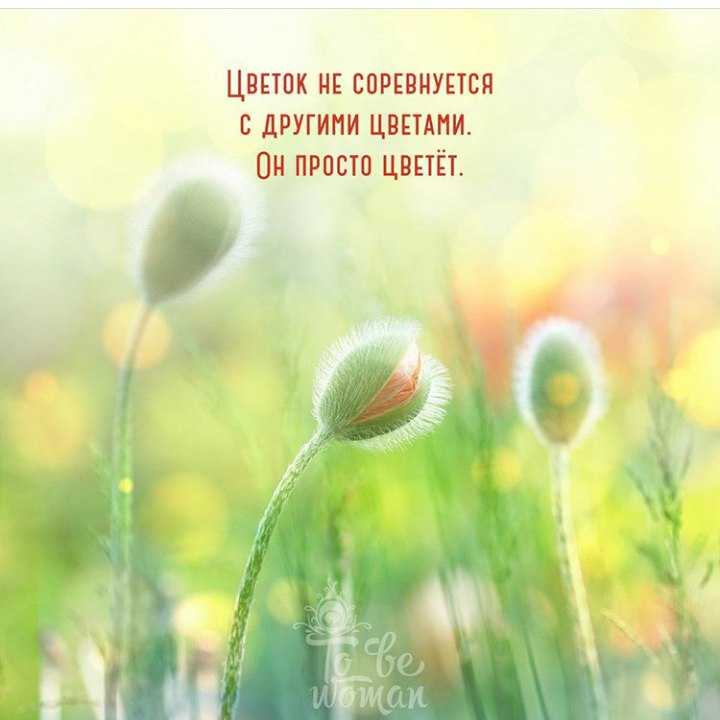 Статусы про рукоделие
