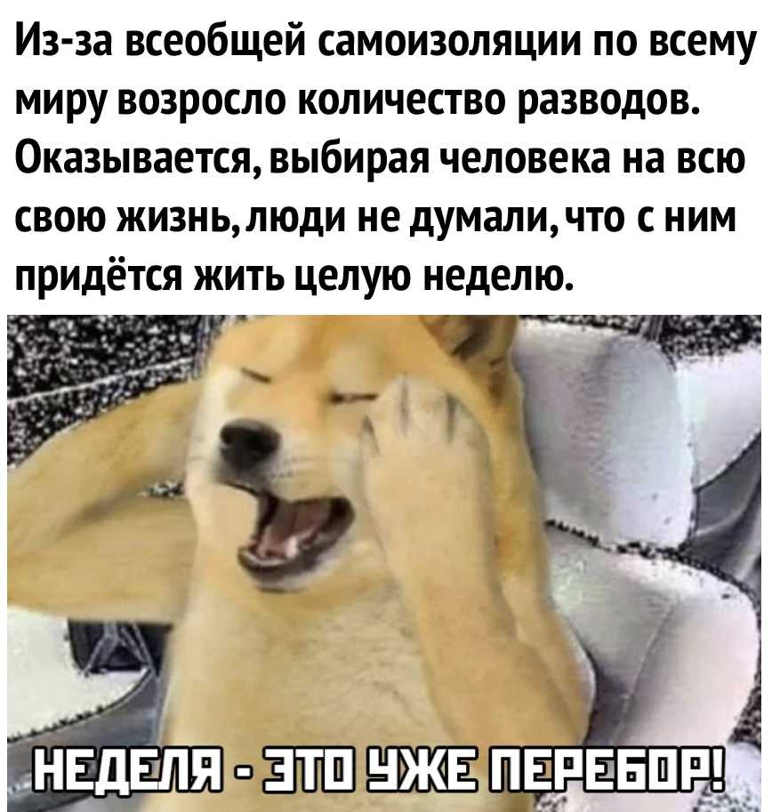 Интересные и красивые высказывания на тему Коронавирус