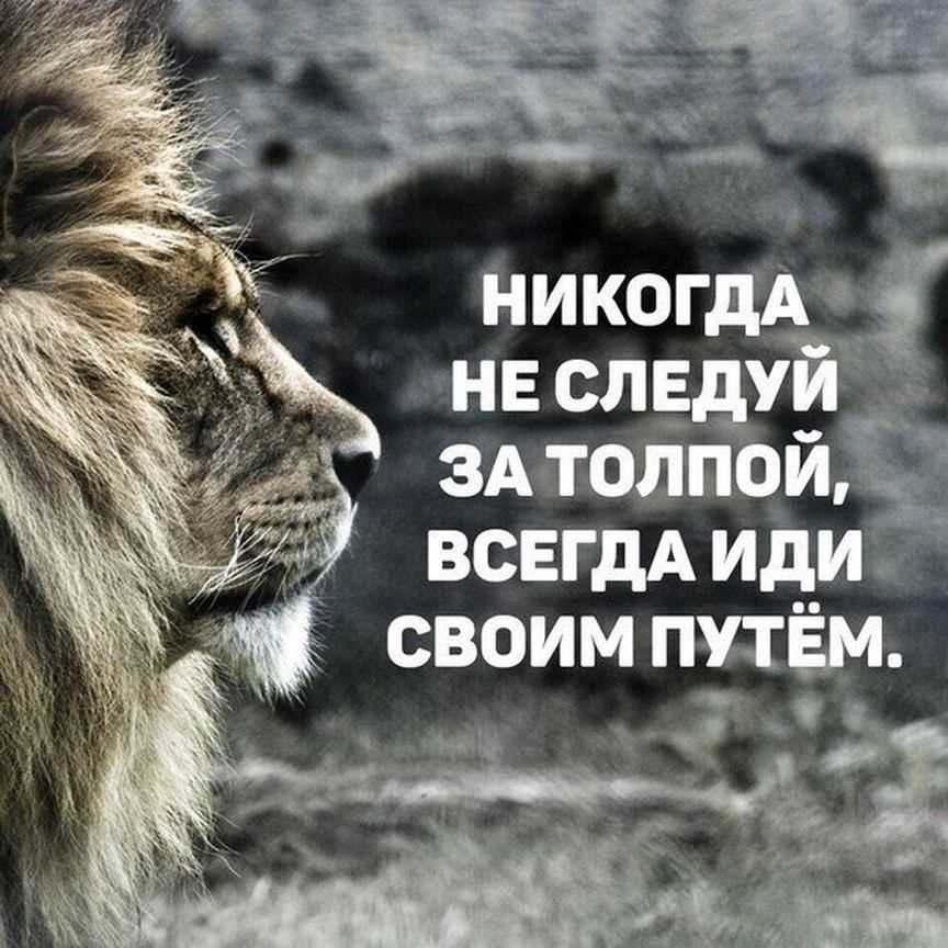 Статусы вконтакте